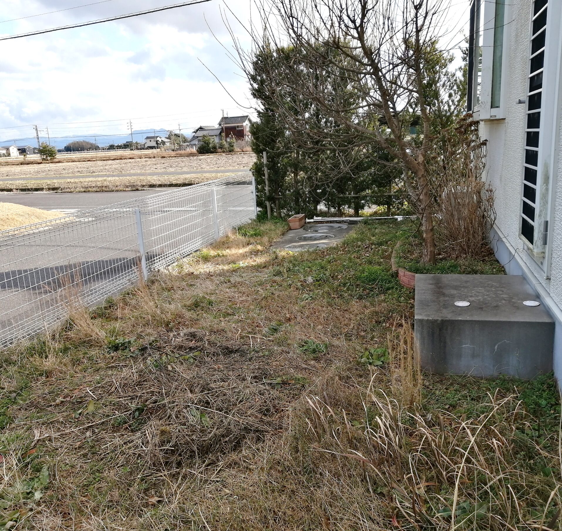 安来市 外構リフォーム 雑草が茂った庭の施工前の様子