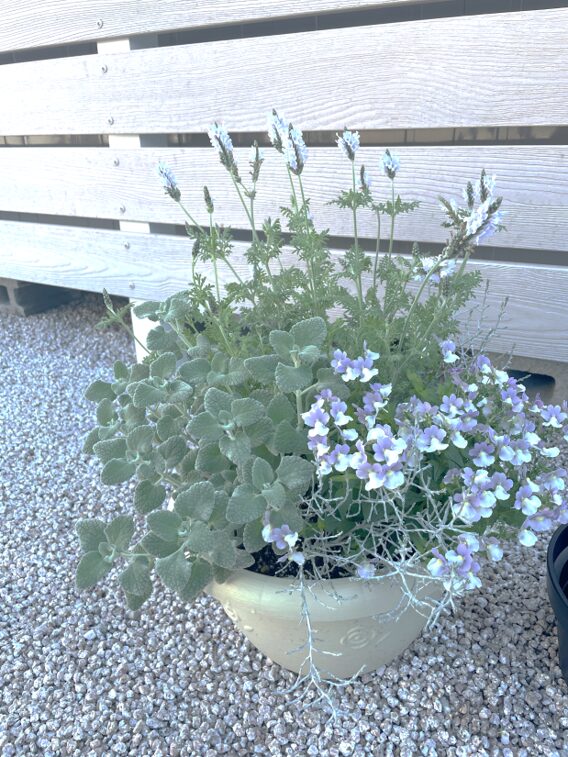 安来市 外構デザイン 鉢植えの植栽で彩る玄関まわり